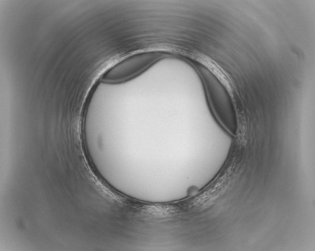 X0000115530805200912040949