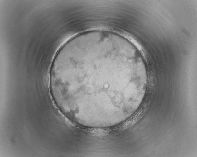 X0000115530807200912040948