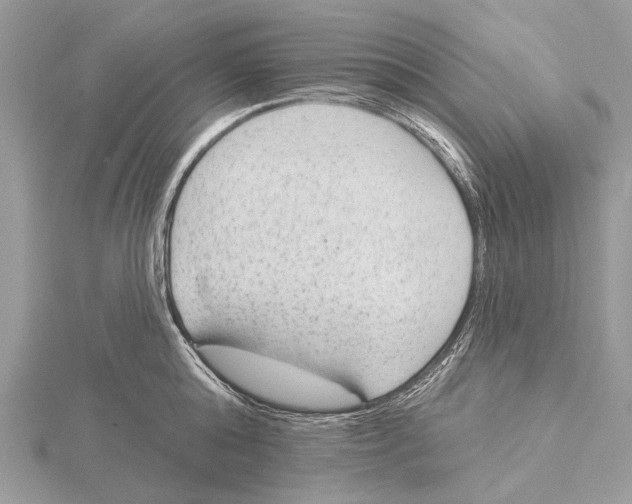 X0000115530808200912040948