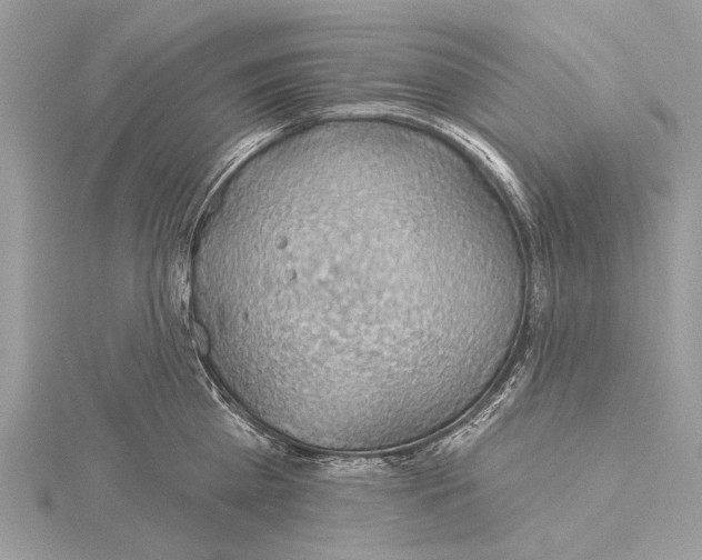 X0000115530809200912040948