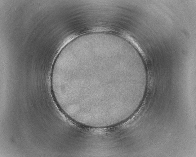 X0000115530810200912040948