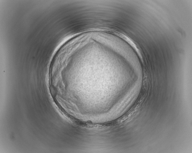 X0000115530811200912040948