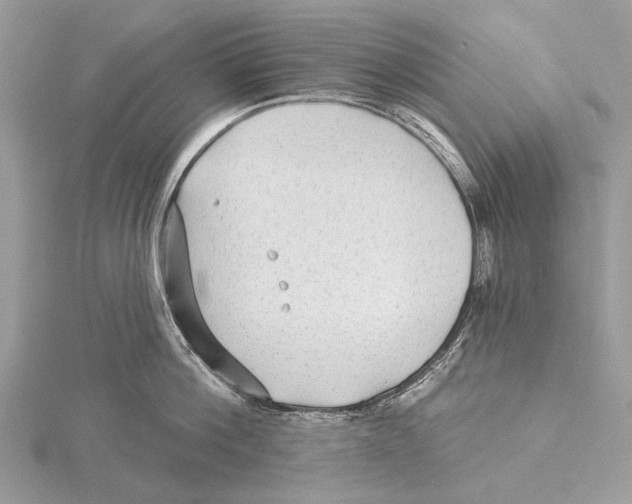 X0000115530812200912040948