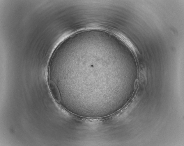 X0000115530813200912040948