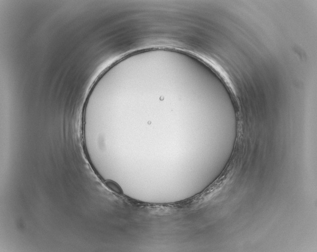 X0000115530815200912040948