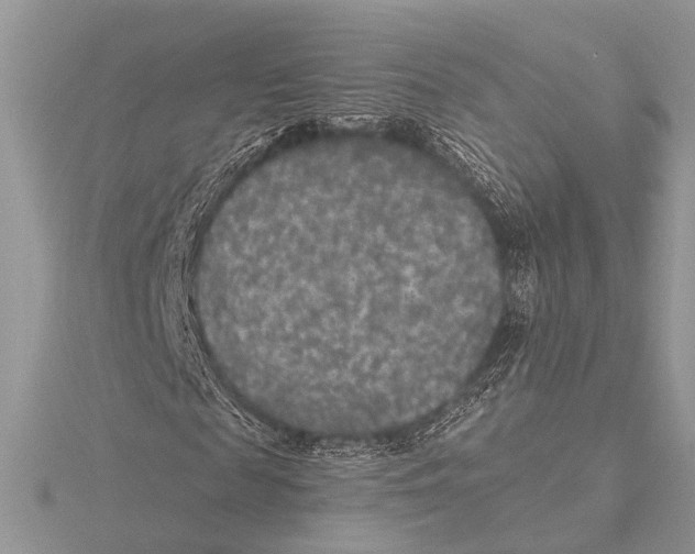 X0000115530817200912040948