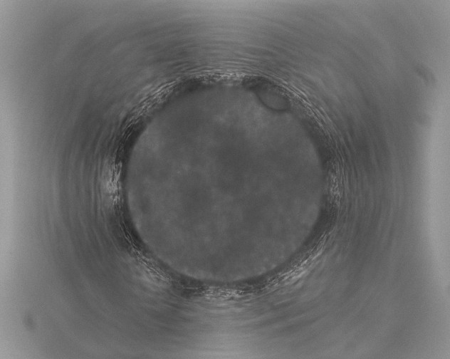 X0000115530818200912040948