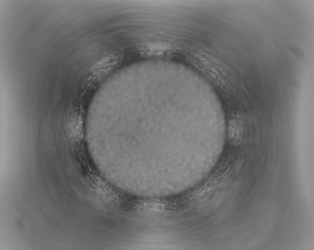 X0000115530820200912040948