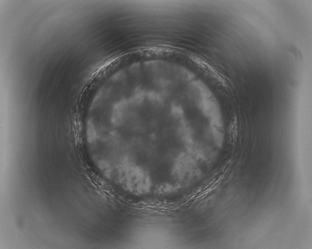 X0000115530822200912040948