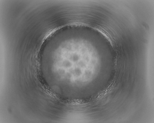 X0000115530823200912040948