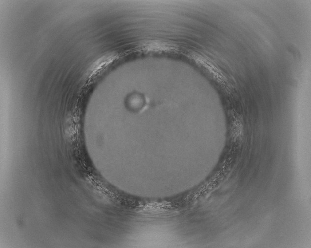 X0000115530824200912040948