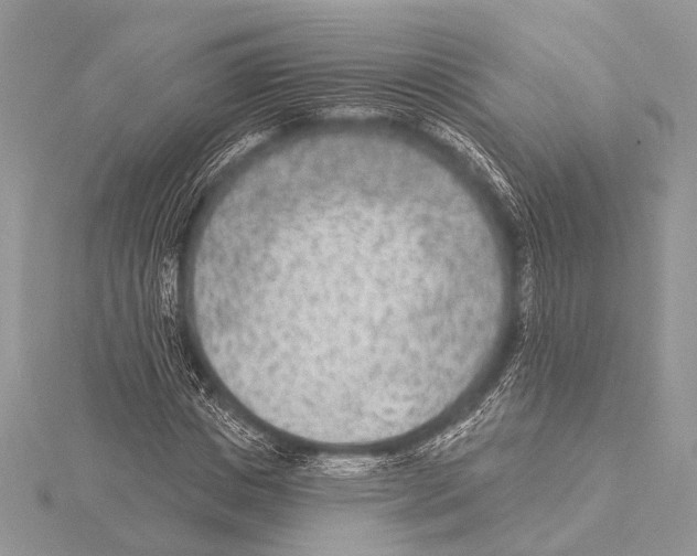 X0000115530825200912040948