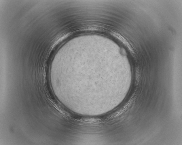 X0000115530826200912040948