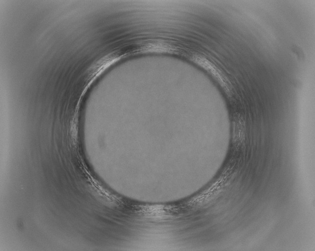 X0000115530828200912040948