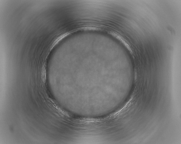 X0000115530829200912040948