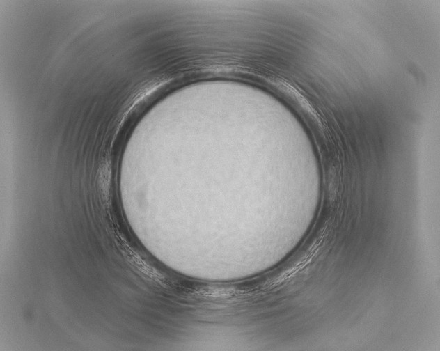 X0000115530831200912040948