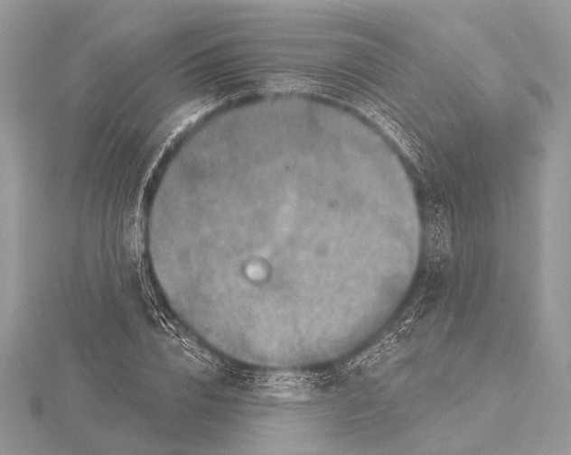 X0000115530832200912040948