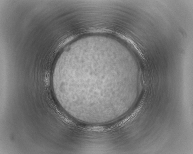 X0000115530833200912040948