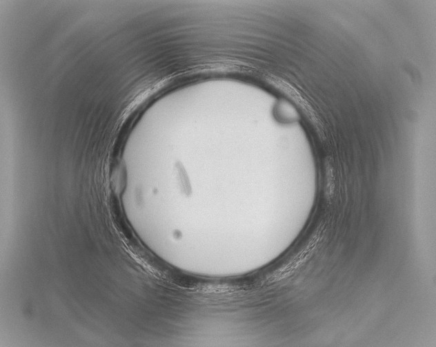 X0000115530834200912040948