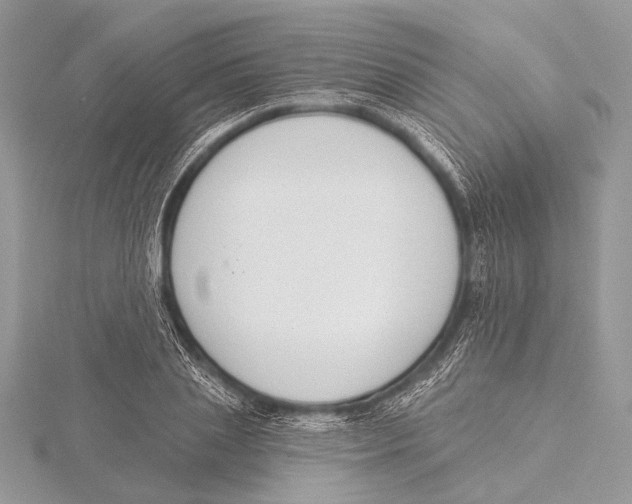 X0000115530837200912040948