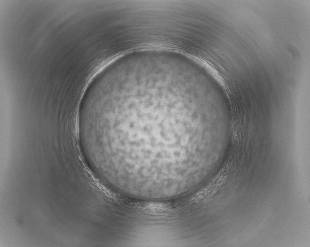 X0000115530839200912040948