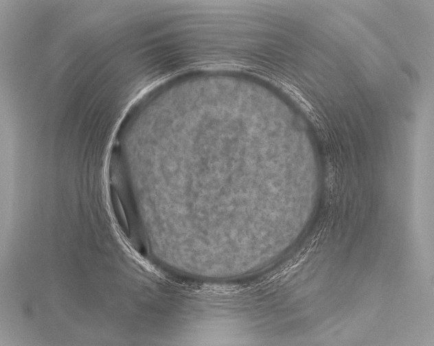 X0000115530840200912040948