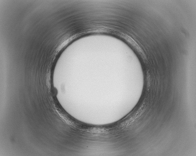 X0000115530842200912040948