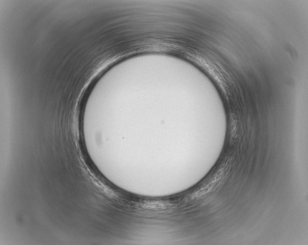 X0000115530843200912040948