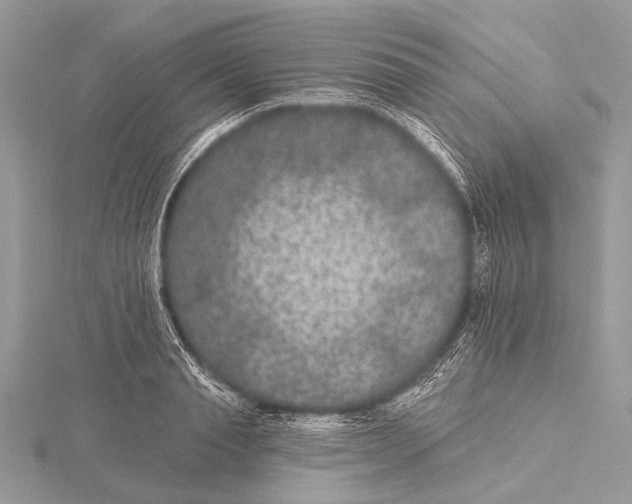 X0000115530845200912040948