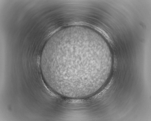 X0000115530849200912040948