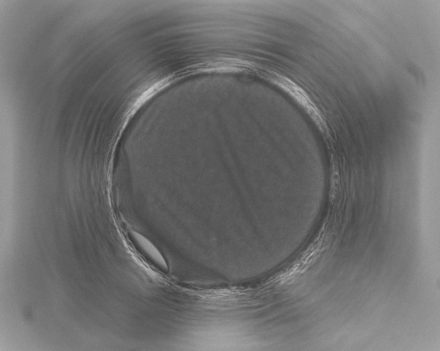 X0000115530850200912040948