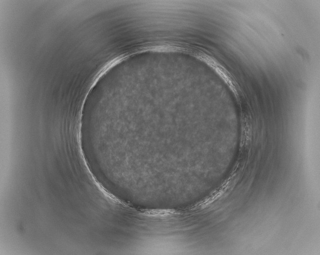 X0000115530853200912040948