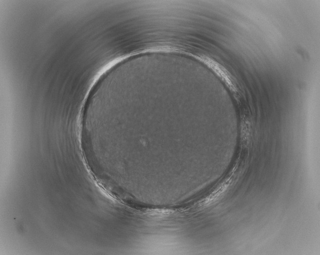 X0000115530854200912040948