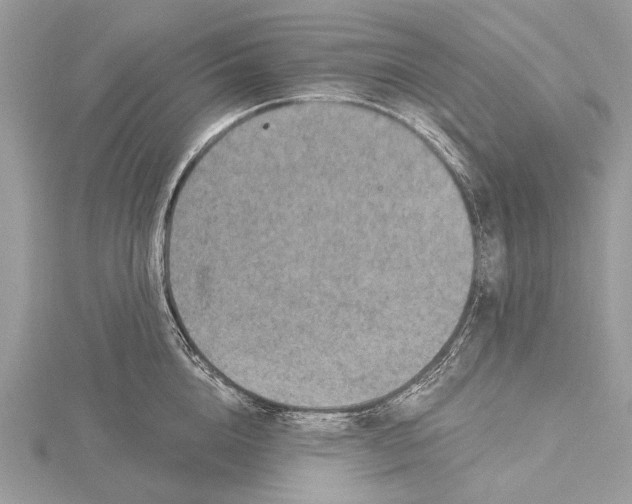 X0000115530856200912040948