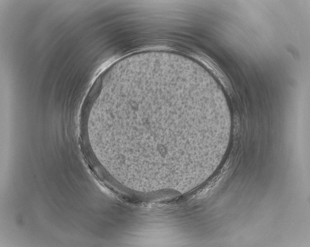 X0000115530858200912040948