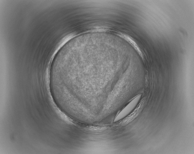 X0000115530859200912040948