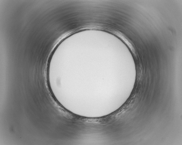 X0000115530861200912040948