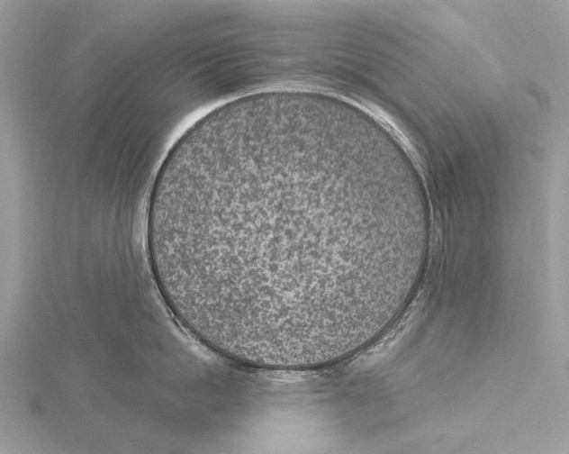 X0000115530862200912040948