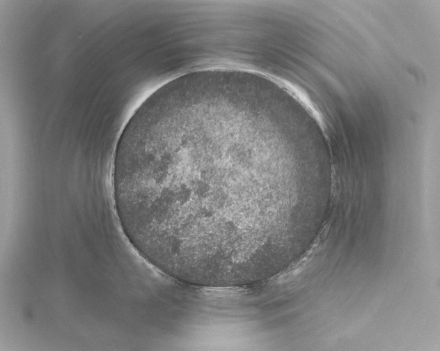 X0000115530863200912040948