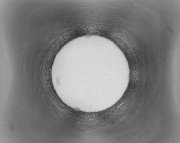 X0000115530865200912040948