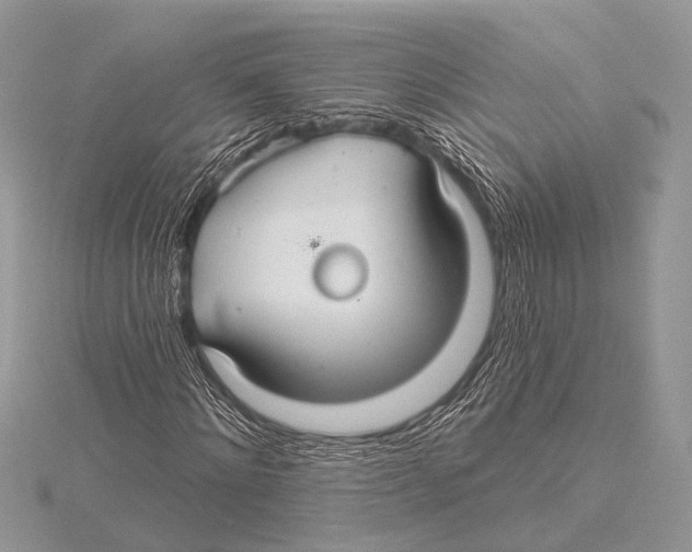 X0000115530868200912040948