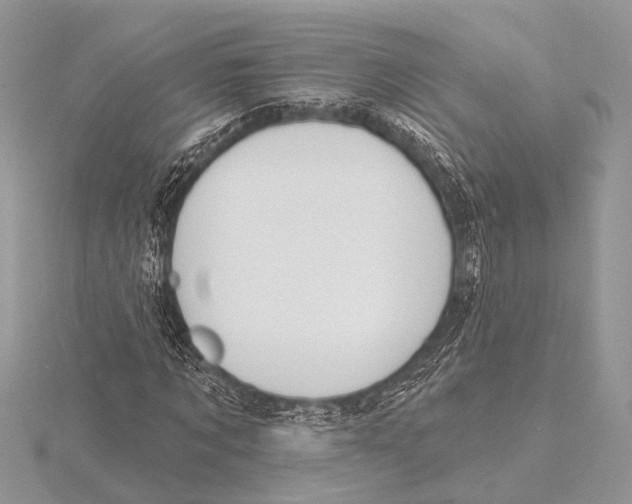 X0000115530869200912040948