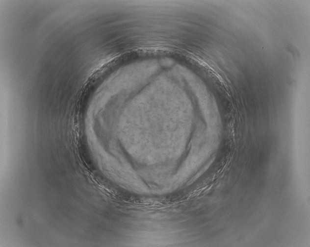 X0000115530870200912040948