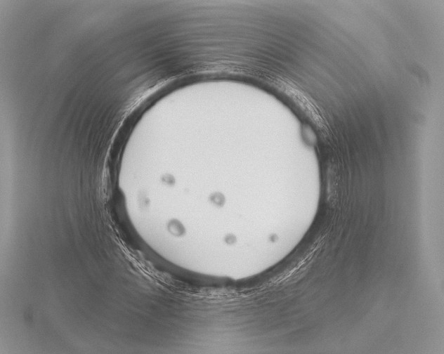 X0000115530876200912040948