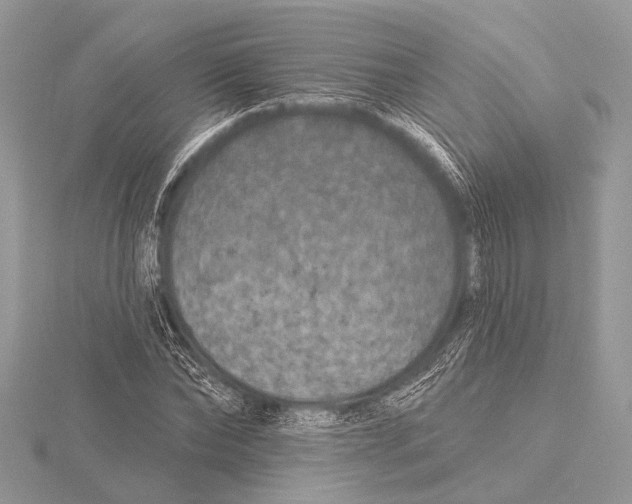 X0000115530878200912040948