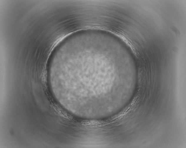 X0000115530879200912040948