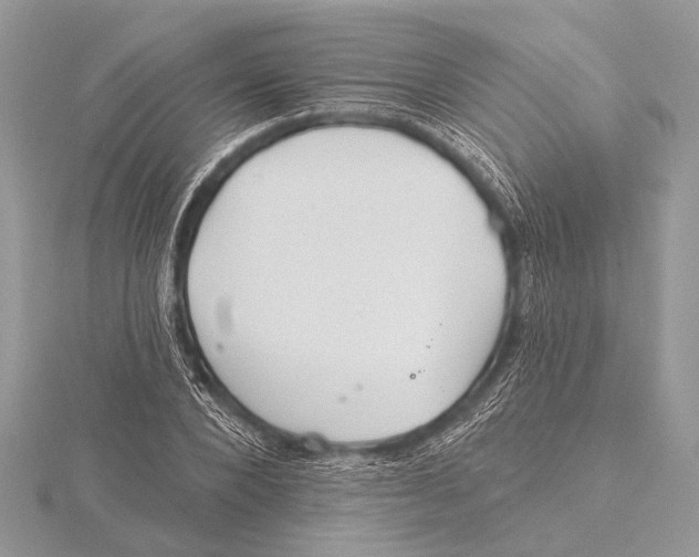 X0000115530880200912040948