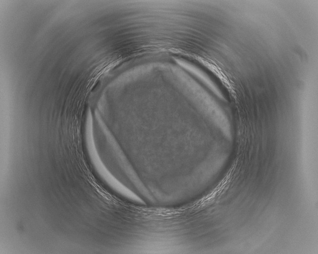 X0000115530881200912040948