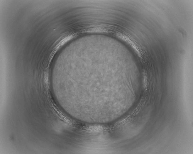 X0000115530882200912040948