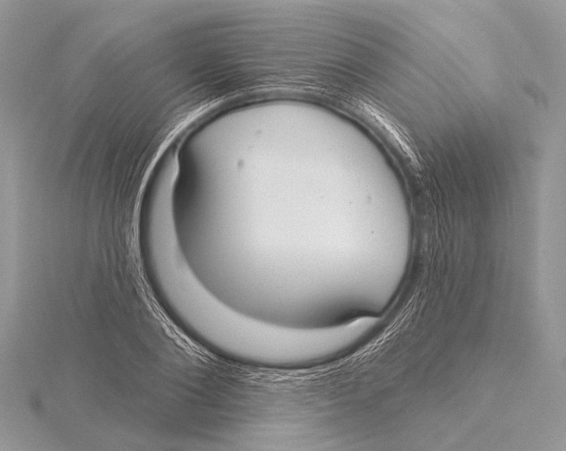 X0000115530884200912040948